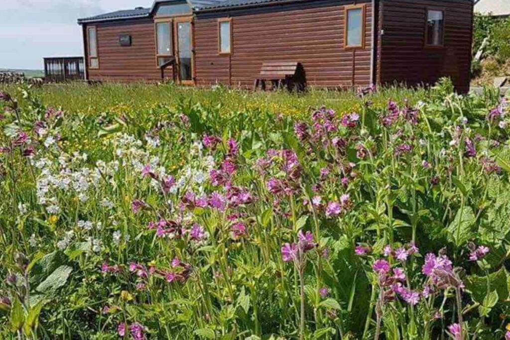 Rymmon Retreat Villa Orkney Exterior photo